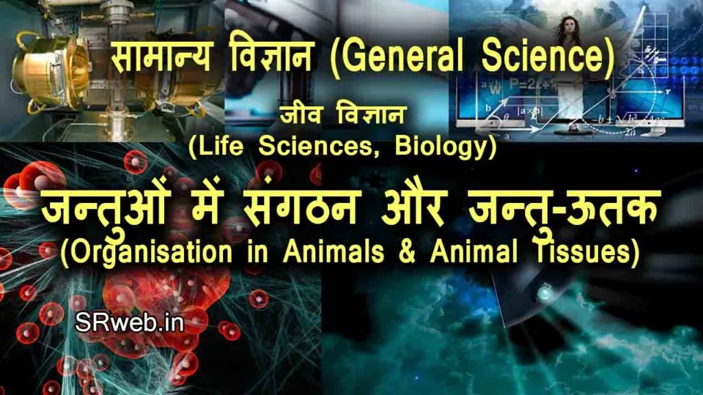 जन्तुओं में संगठन और जन्तु-ऊतक (Organisation in Animals & Animal Tissues)