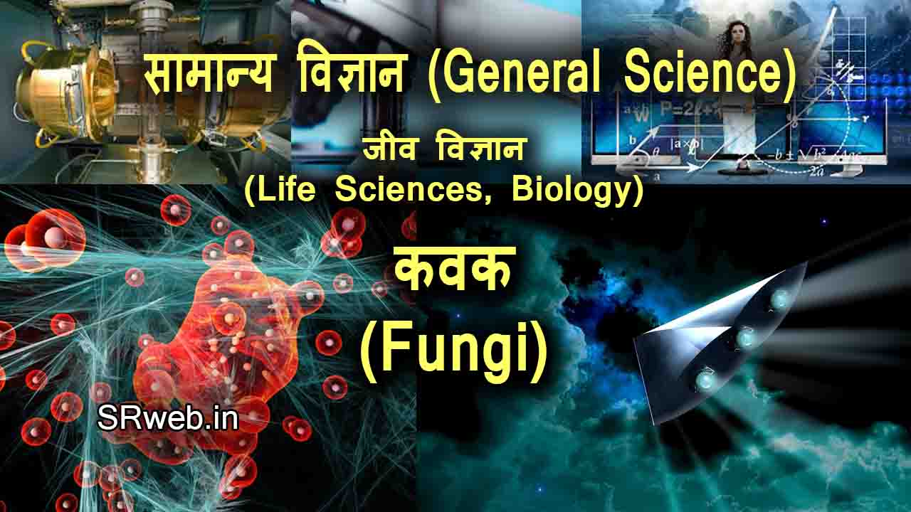 ONLY dam kavaj ONLLINDA - Fungi MELANGE