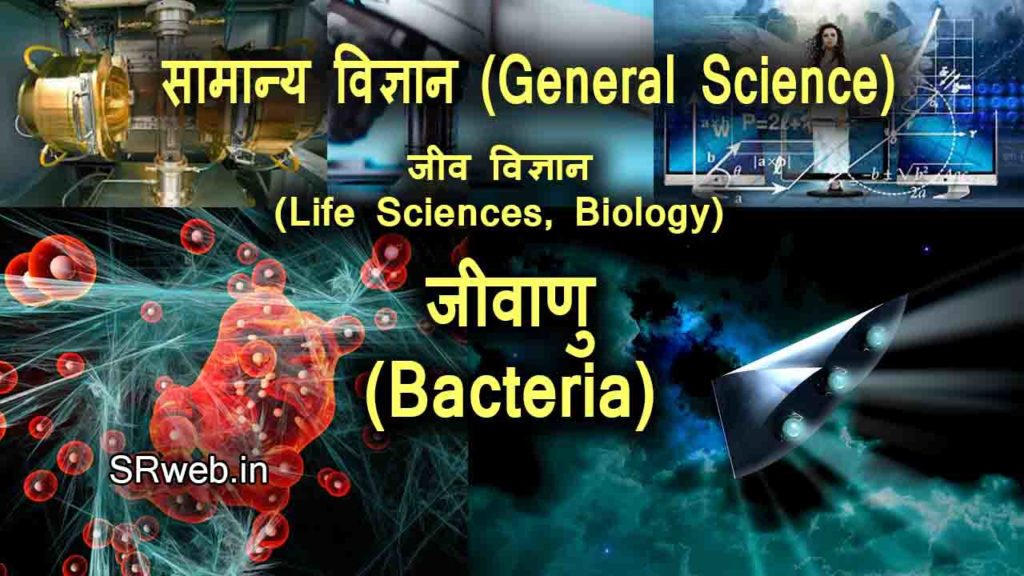 जीवाणु (Bacteria) जीवाणु की संरचना (Structure of Bacteria) banner
